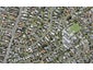 31 Tiroroa Avenue, Te Atatu South, Auckland - Carousel 1