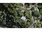 12 Takahe Road, Titirangi, Auckland - Carousel 1