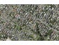 2B Birchfield Road, Hauraki, Auckland - Carousel 1