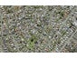 52A Felgrove Street, Glendene, Auckland - Carousel 1