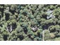 57 Opanuku Road, Henderson Valley, Auckland - Carousel 1