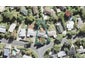 9 Nor'East Drive, Northcross, Auckland - Carousel 1