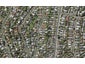 49 Merriefield Avenue, Forrest Hill, Auckland - Carousel 1
