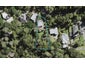 59 Wood Bay Road, Titirangi, Auckland - Carousel 1