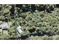 893 West Coast Road, Waiatarua, Auckland - Carousel 1