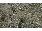 21 Exmouth Road, Northcote, Auckland - Carousel 1