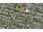56C Ellerton Road, Mount Eden, Auckland - Carousel 1