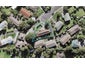1/10 Pamela Place, New Lynn, Auckland - Carousel 1