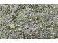 1/1 Knights Road, Rothesay Bay, Auckland - Carousel 1