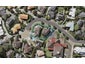 6A Lucia Glade, Meadowbank, Auckland - Carousel 1