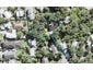 15 Woodlands Avenue, Snells Beach, Snells Beach - Carousel 1
