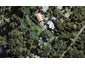 37 Albert Crescent, Ostend, Waiheke Island - Carousel 1