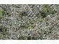2/20A Eastglen Road, Glen Eden, Auckland - Carousel 1