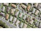 13 Cretian Crescent, Henderson, Auckland - Carousel 1