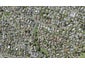 24 Orinda Close, Botany Downs, Auckland - Carousel 1