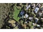 80 Alford Street, Waterview, Auckland - Carousel 1