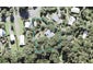 55 Foster Avenue, Huia, Auckland - Carousel 1