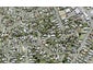 5D Orne Street, Torbay, Auckland - Carousel 1