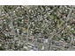 1/12 Hamilton Place, Glenfield, Auckland - Carousel 1