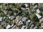 26B Sycamore Drive, Sunnynook, Auckland - Carousel 1