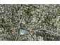 253 Golf Road, Titirangi, Auckland - Carousel 1