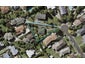 9 Margaret Place, Milford, Auckland - Carousel 1