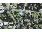 20 Baddeleys Beach RD, Tāwharanui Peninsula, Matakana - Carousel 1