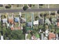 32 Centennial Crescent, Te Hapara, Gisborne - Carousel 1