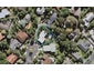 25 Makepiece Place, Chatswood, Auckland - Carousel 1