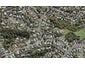 3 Betsland Crescent, Hillcrest, Auckland - Carousel 1