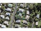30 Rawene Road, Birkenhead, Auckland - Carousel 1
