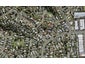64D Girrahween Drive, Totara Vale, Auckland - Carousel 1