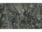 37 Crichton Terrace, Cashmere, Christchurch - Carousel 1