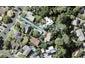 40 John Gill Road, Shelly Park, Auckland - Carousel 1