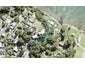 87 Willjames Avenue, Algies Bay, Warkworth - Carousel 1