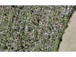 39B Tamatea Avenue, Point England, Auckland - Carousel 1
