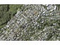 47 Aberdeen Road, Castor Bay, Auckland - Carousel 1