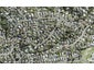 9B Freya Place, Torbay, Auckland - Carousel 1