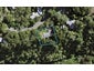 96 Scenic Drive, Titirangi, Auckland - Carousel 1