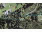 13 Brydes Street, Albany Heights, Auckland - Carousel 1