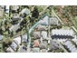 40 Red Hibiscus Road, Stanmore Bay, Whangaparaoa - Carousel 1