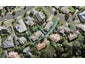 5 Owl Court, Unsworth Heights, Auckland - Carousel 1