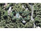 38 Rimu Road, Oratia, Auckland - Carousel 1