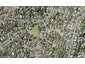 8B Weetman Drive, Browns Bay, Auckland - Carousel 1