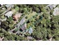 30 Arapito Road, Titirangi, Auckland - Carousel 1