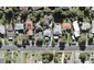 28 Sheridan Drive, New Lynn, Auckland - Carousel 1