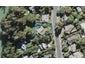 50 Brigantine Drive, Beach Haven, Auckland - Carousel 1