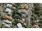 17 Belvedere Street, Epsom, Auckland - Carousel 1