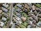 14B Eaton Road, Hillsborough, Auckland - Carousel 1