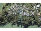 32 Marae Road, Greenhithe, Auckland - Carousel 1